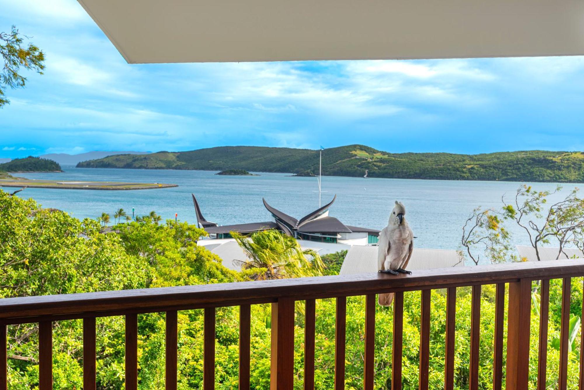 شقة Casuarina Cove On Hamilton Island By Hiha المظهر الخارجي الصورة